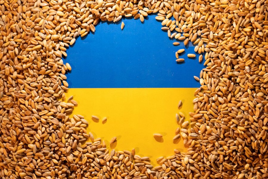 Украина договорилась со Словакией по экспорту украинского зерна